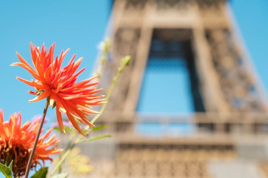 Eiffeltoren met bloemen